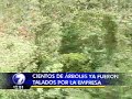 Destrucción en Las Crucitas: sobrevuelo de Telenoticias