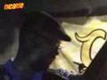 Assistir ao v�deo