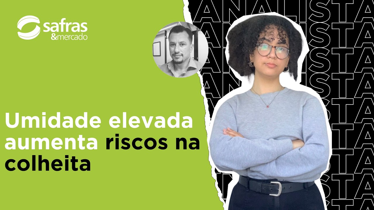 Qualidade do trigo preocupa e pode aumentar necessidade de importação do Brasil