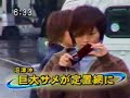 big shark caught in Japan big shark caught in Japan