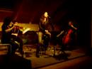 shining princess   giulia ottonello   gnuquartet