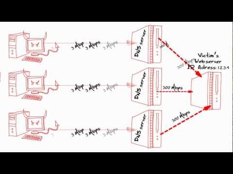 how to perform dns amplification attack