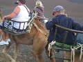 Dromedar Ritt Feuerberge Lanzarote