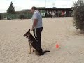 OBEDIENCIA Prueba BHA/VT (Luis&Balco)