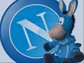 Spot Hamsik Sky Sport 24