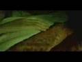 clip video Linkin Park Riff Raff
