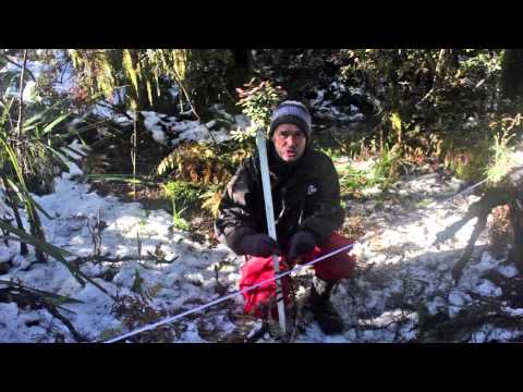 how to belt transect