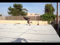 Urban ninja