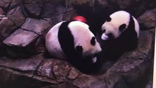 Smithsonian National Zoo