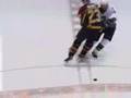 Ice Hockey Check