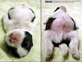 The Position in bed