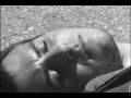 videos de A Plant's Life... Gone Wrong