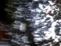 Video Blog 3 Video Blog 3