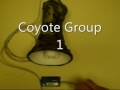 videos de Coyote Hunting - Digital Predator Call mp3