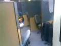 videos de kfc call center.3gp
