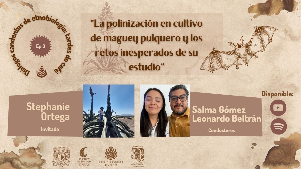 EPISODIO 03: LA POLINIZACIÓN EN CULTIVO DE MAGUEY PULQUERO Y LOS RETOS INESPERADOS DE SU ESTUDIO