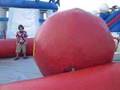 human-bowling