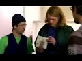 Mushroom insulation invention nation Mushroom insulation invention nation