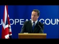 David Cameron video 1