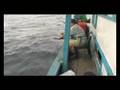 Fishing takat jepun