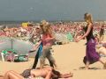 Tamponinvasie kleurt Nederlandse stranden