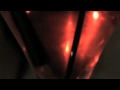 DINO DNA LIVE!! - Belcourt Theatre 5/25/12