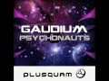 Gaudium - SSRI