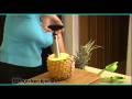 videos de Gadget Gal® shows you how to quickly core and slice a pineapple.