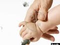fathers-and-sons-of-theories-in-cell-physiology.html