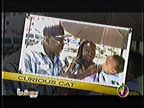 Ity and Fancy Cat - Curious Cat - Would you take a bullet for your partner