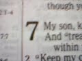 PROVERBS 7 (the 7th day of the month)