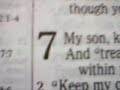 PROVERBS 7 (the 7th day of the month) PROVERBS 7 (the 7th day of the month)