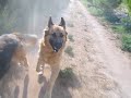 Aiutooooooo