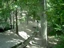 Monster Slide
