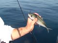 How to rig live bait with Steve Waters