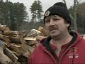 Firewood In Short Supply