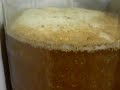 Homebrewed Ale fermenting