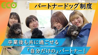 北海道エコ　Youtube Pickup!