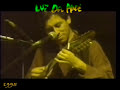Luz del Ande - Kolokolito