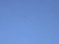 Christen Eagle upper wing failure