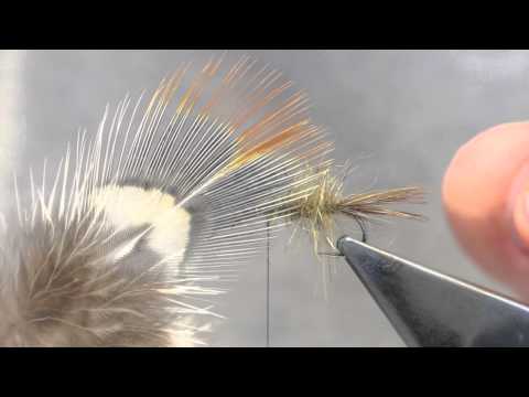 how to dye pheasant feathers