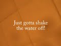 Testing watahproof