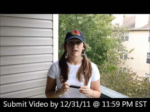 how to fill out form v.2011a