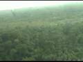 Solomon's islands (II) (SI-7)