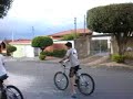 rl limeira
