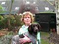 SPORT JE FIT PLAN Weer sporten? Gezond afvallen? Het kan! SPORT JE FIT PLAN Weer sporten? Gezond afvallen? Het kan!