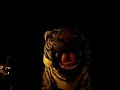 tigre do skol