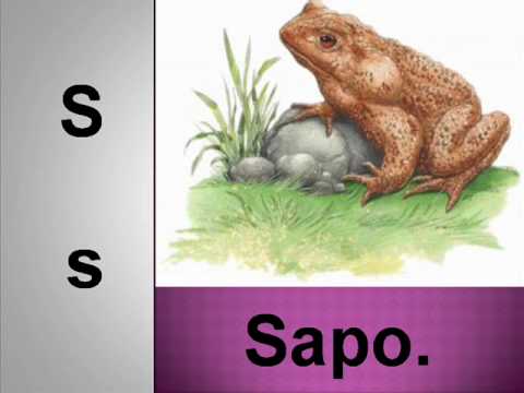 Fase de solución. Video._0003.wmv