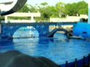 Sea World Believe Part 2 Sea World Believe Part 2