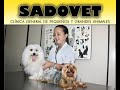 Anuario Digital EAH 2009 (Parte #1)